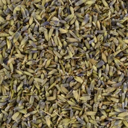 Lavender Blossoms - Bulk