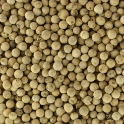 Pepper White Whole - Bulk