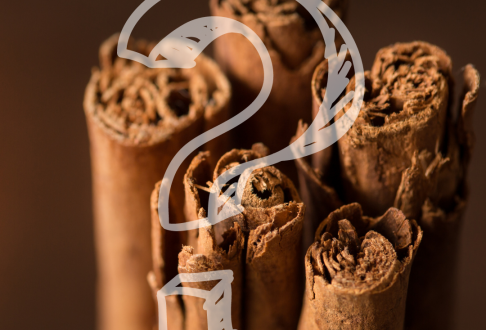 Is cinnamon a safe spice?